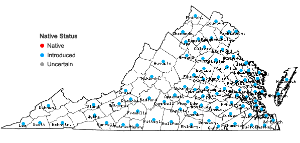 Locations ofKummerowia striata (Thunb.) Schindl. in Virginia