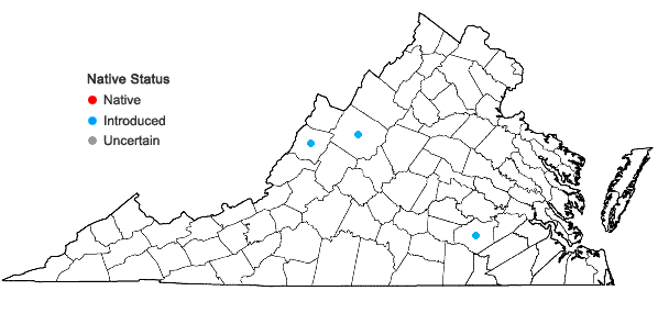 Locations ofLablab purpureus (L.) Sweet in Virginia