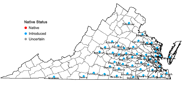 Locations ofLathyrus hirsutus L. in Virginia