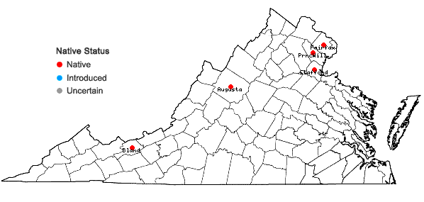 Locations ofLathyrus palustris L. in Virginia