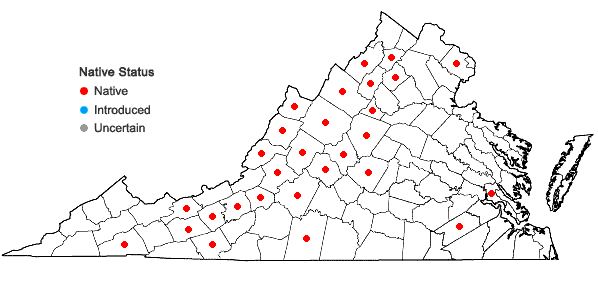 Locations ofLathyrus venosus Muhl. ex Willd. var. venosus in Virginia