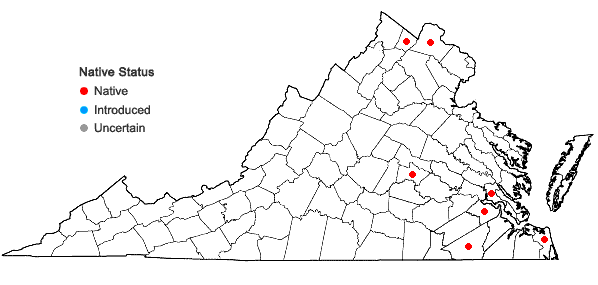 Locations ofLemna obscura (C.F. Austin) E.H. Daubs in Virginia