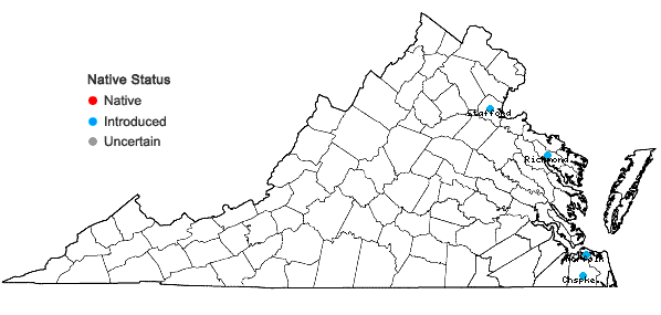 Locations ofLepidium draba L. in Virginia
