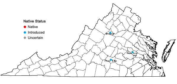 Locations ofLepidium sativum L. in Virginia