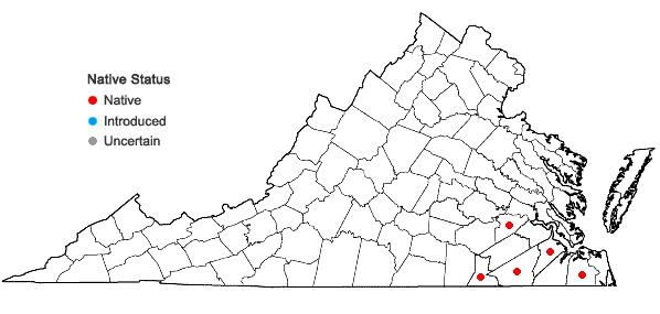 Locations ofLespedeza hirta (L.) Hornemann var. curtissii (Clewell) Isely in Virginia