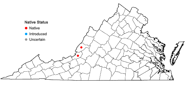 Locations ofLiatris squarrulosa Michx. in Virginia