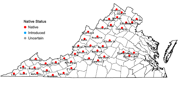 Locations ofLilium canadense L. in Virginia