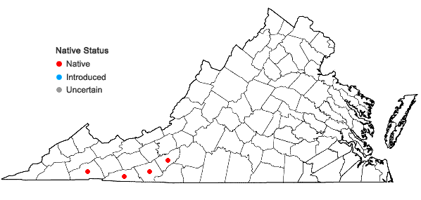 Locations ofLilium grayi S. Wats. in Virginia