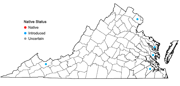 Locations ofLilium lancifolium Thunb. in Virginia