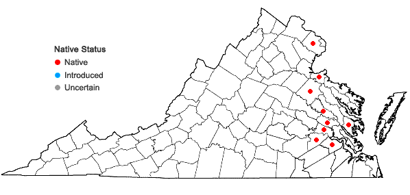 Locations ofLindernia dubia (L.) Pennell var. inundata (Pennell) Pennell in Virginia
