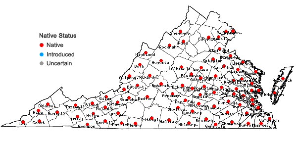 Locations ofLinum striatum Walt. in Virginia