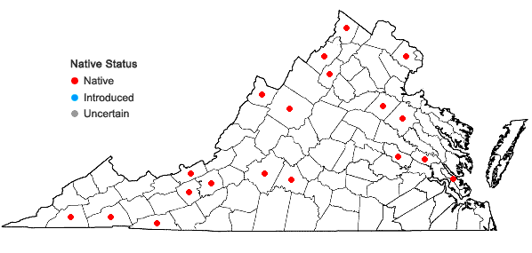 Locations ofLiparis loeselii (L.) L.C. Rich. in Virginia