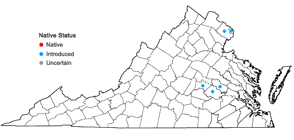 Locations ofLiriope muscari (Dcne.) Bailey in Virginia