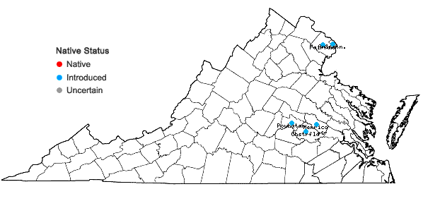 Locations ofLiriope muscari (Dcne.) Bailey in Virginia