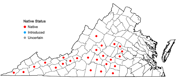 Locations ofLobelia spicata Lam. var. spicata in Virginia