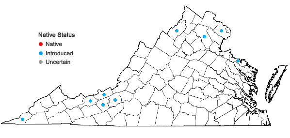 Locations ofLolium pratense (Huds.) Darbysh. in Virginia