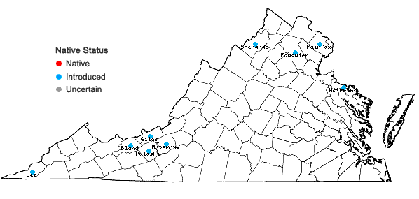 Locations ofLolium pratense (Huds.) Darbysh. in Virginia