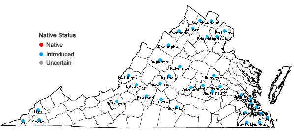 Locations ofLotus corniculatus L. in Virginia