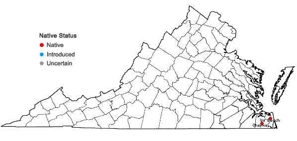 Locations ofLudwigia alata Elliott in Virginia