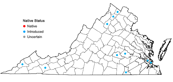 Locations ofLudwigia hexapetala (Hook. & Arn.) Zardini, Gu, & Raven in Virginia