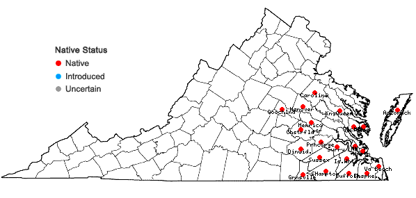 Locations ofLudwigia linearis Walter in Virginia