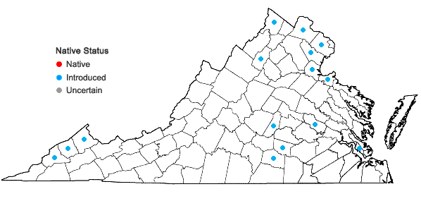 Locations ofLudwigia peploides (H.B.K.) Raven var. glabrescens (Kuntze)Shinners in Virginia