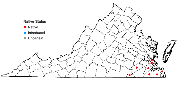 Locations ofLudwigia sphaerocarpa Elliott in Virginia
