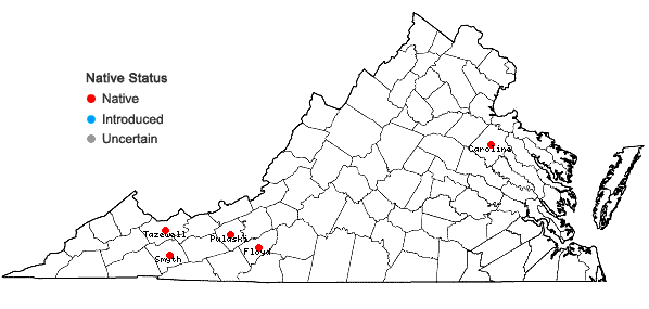 Locations ofLuzula acuminata Raf. var. acuminata in Virginia