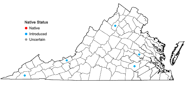 Locations ofLycium chinense P. Miller in Virginia