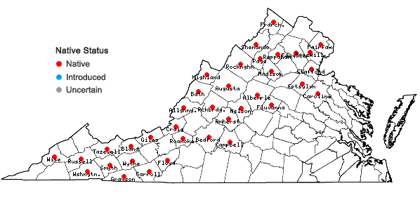 Locations ofLycopodium clavatum L. in Virginia