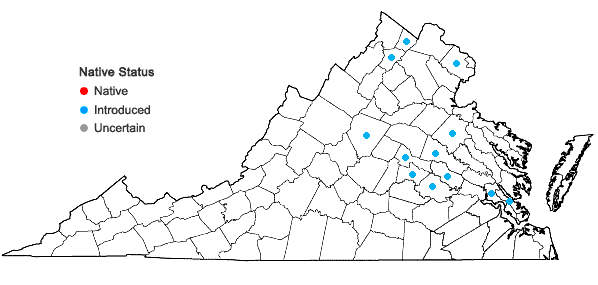 Locations ofMahonia bealei (Fortune) Carr. in Virginia
