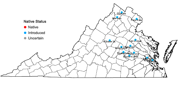Locations ofMahonia bealei (Fortune) Carr. in Virginia