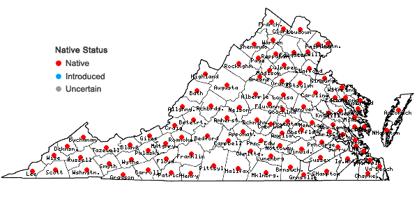 Locations ofMaianthemum racemosum (L.) Link in Virginia