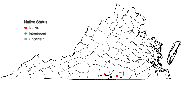Locations ofMarshallia legrandii Weakley in Virginia