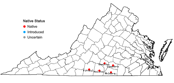 Locations ofMarshallia obovata (Walt.) Beadle & F.E. Boynt. var. obovata in Virginia