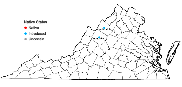 Locations ofMedicago arabica (L.) Huds. in Virginia