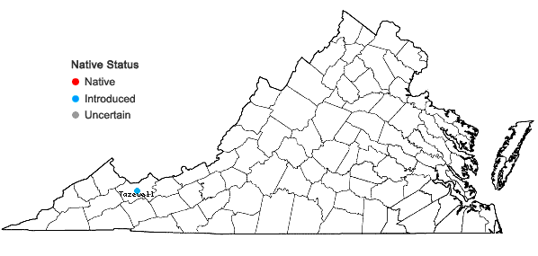 Locations ofMedicago falcata L. in Virginia