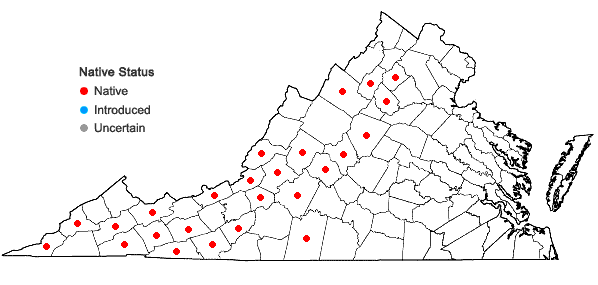 Locations ofMicranthes petiolaris (Raf.) Bush var. petiolaris in Virginia