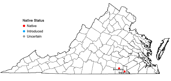 Locations ofMitreola sessilifolia (J.F.Gmelin) G.Don in Virginia