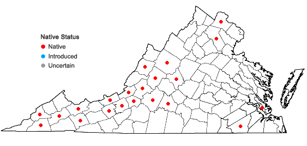 Locations ofMonarda fistulosa L. var. mollis (L.) Benth. in Virginia
