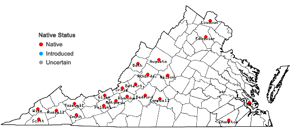 Locations ofMonarda fistulosa L. var. mollis (L.) Benth. in Virginia
