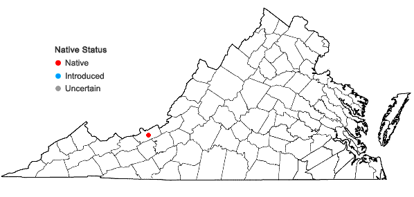 Locations ofMonarda fistulosa L. var. rubra A. Gray in Virginia