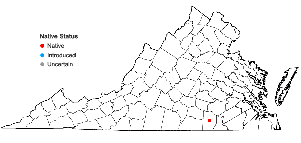 Locations ofMuhlenbergia glabrifloris Scribn. in Virginia