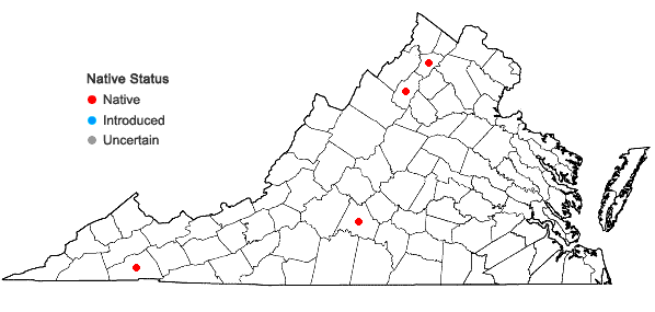 Locations ofMyzorrhiza riparia (L.T. Collins) Weakley in Virginia