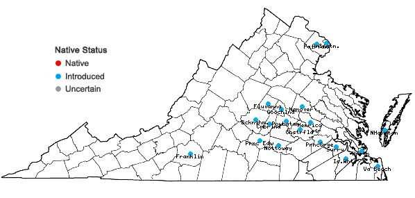 Locations ofNandina domestica Thunberg in Virginia