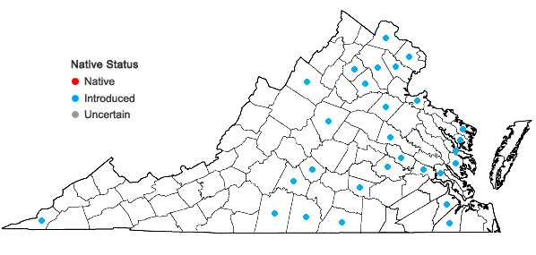 Locations ofNarcissus poeticus L. in Virginia