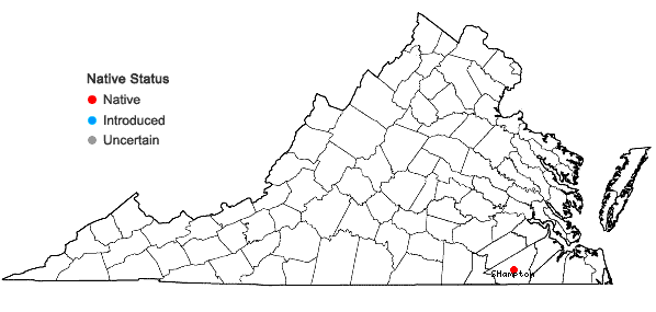 Locations ofNeobeckia aquatica (Eaton) Greene in Virginia