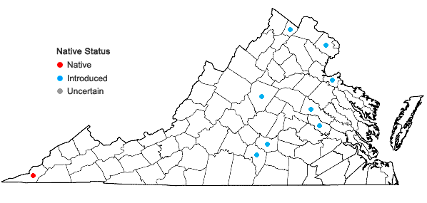 Locations ofNephroia carolina (L.) Lian Lian & Wei Wang in Virginia