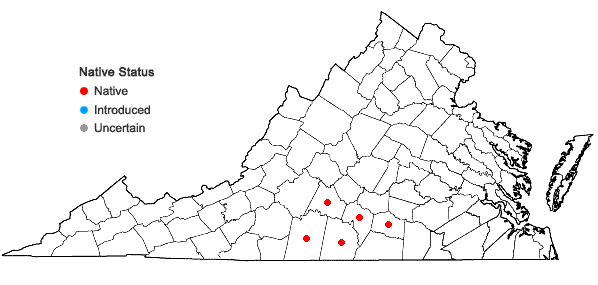 Locations ofNestronia umbellula Raf. in Virginia