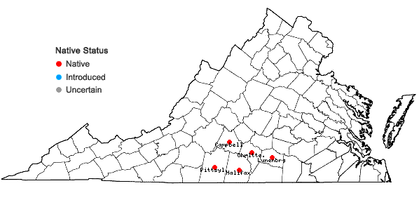 Locations ofNestronia umbellula Raf. in Virginia